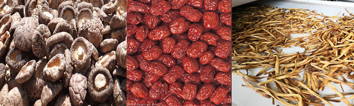 product-agd04 product-agd04