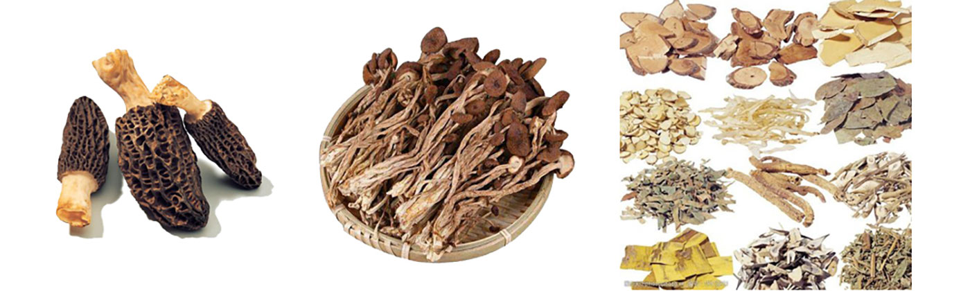 product-agd03 product-agd03